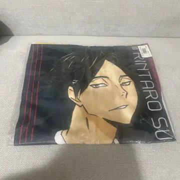 스나 린타로 타월