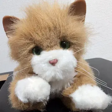 꿈꾸는 고양이 봉제 인형 브라운 갈색 움직임 울음 발바닥 꾹꾹