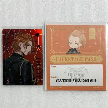 트위스테 케이트 오로라 카드 백스테이지 패스 브레이징 주얼