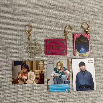 미세스 Harmony 키링 카드 세트