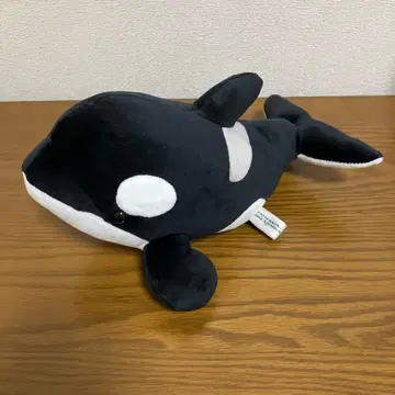 나고야항 수족관 범고래 복권 봉제 인형 3등 범고래