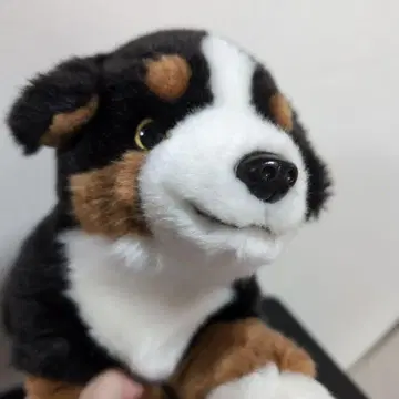 버니즈 마운틴 도그 봉제 인형