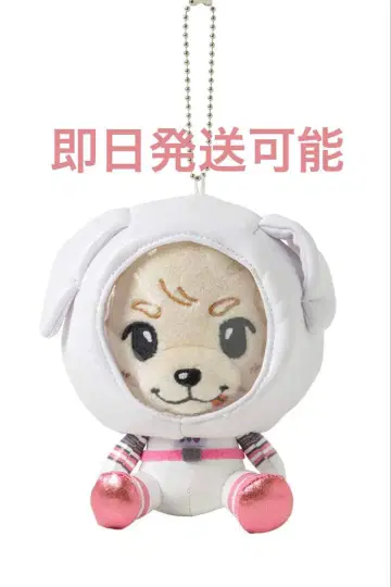 이와타 타카노리 SPACE COWBOY 봉제 인형 키링 로키