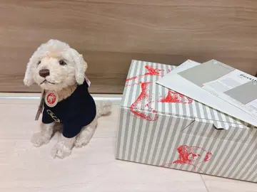 Steiff 봉제 인형 개 노티카 니키 도그