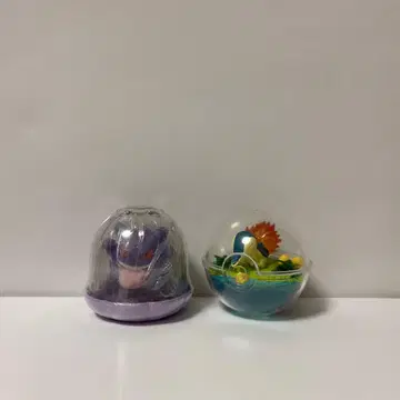 젬리즈 테라리움 컬렉션 포켓몬