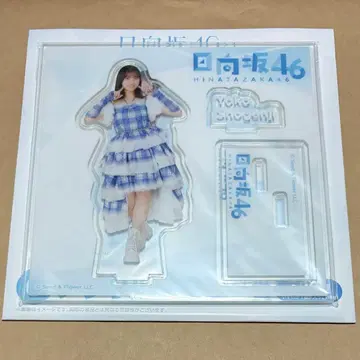 쇼겐지 요코 아크릴 스탠드 로손 히나타자카46 복권