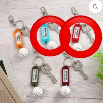 하이큐!! 열쇠 달린 키참 네코마 세이조