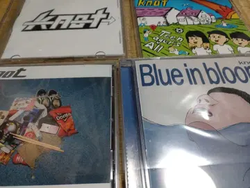 knot CD 4개 세트