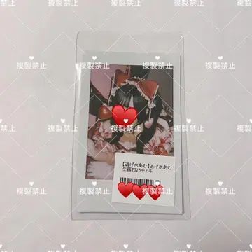 신기루 아뮤 2025 생탄 의상 런 폴라로이드