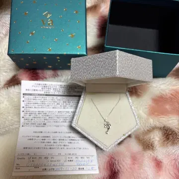 반돔 아오야마 K10 목걸이