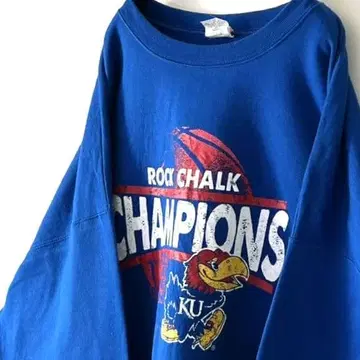 헤인즈 챔피온 맨투맨 2XL 블루 파랑 구제 의류