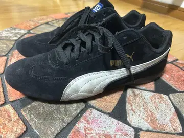 레어 수영장 스피도캣 스파르코 콜라보 레어