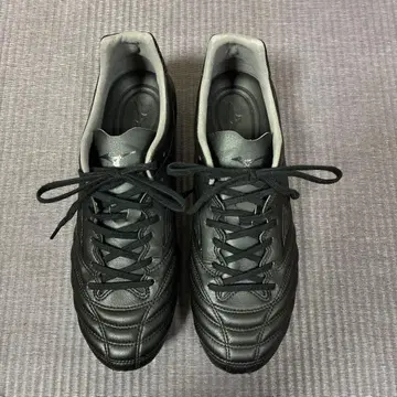 [ 새상품급 ] 미즈노 모나르시다 Neo2 프로 25.0cm