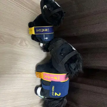 [ 경마 ] 이퀴녹스, 서울 스털링 세트