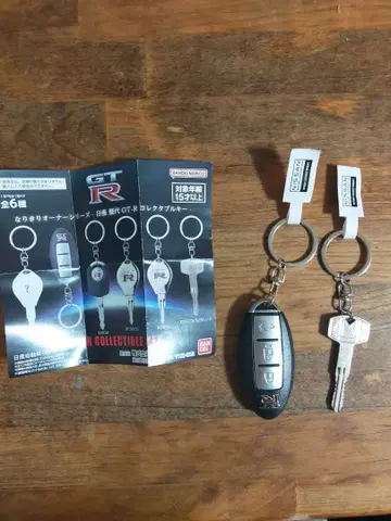 GTR 나리키리 오너 시리즈