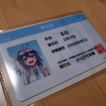 [ 익명 배송 ] 컬러풀 피치 카라피치 파라다이스 2025 학생증 루나