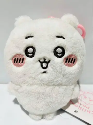 치이카와 마스코트 치이카와 파크