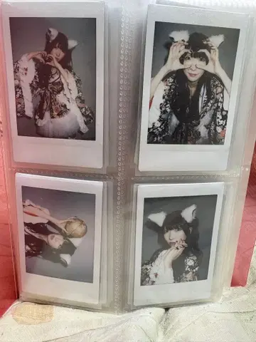 마타소 란 폴라로이드