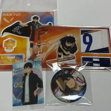 하이큐 카게야마 토비오 묶음 판매