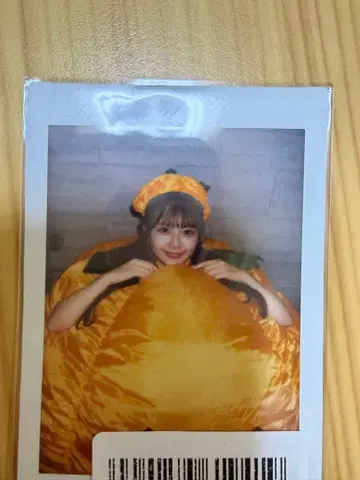 카와라보 메이츠 스즈키 카린 호박 폴라로이드