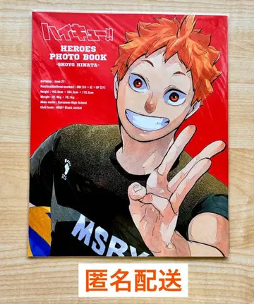 하이큐 HEROES PHOTO BOOK 히나타 쇼요