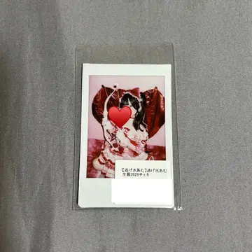 신기루 아뮤 폴라로이드