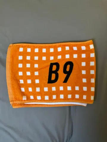 초특급 하루 B9 타월