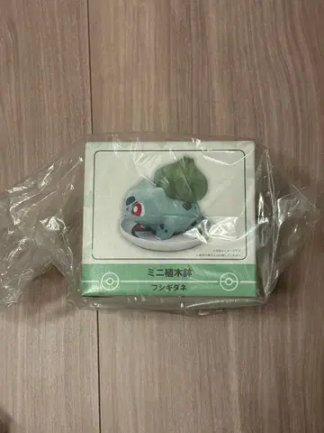 포켓몬 센터 한정판 이상해씨 화분