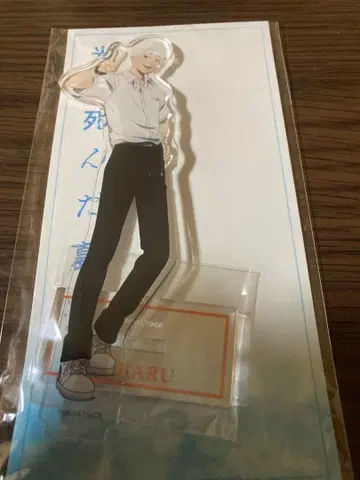 빛이 죽은 여름 히카루 아크릴 스탠드