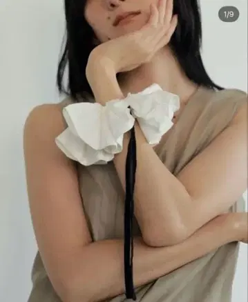 안느크 스크런치