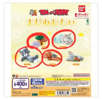 톰과 제리 아직 졸려 톰 제리 머슬 스파이크 묶음 세트