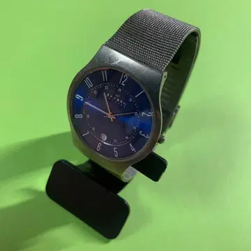 SKAGEN 스카겐 손목시계 배터리 방전