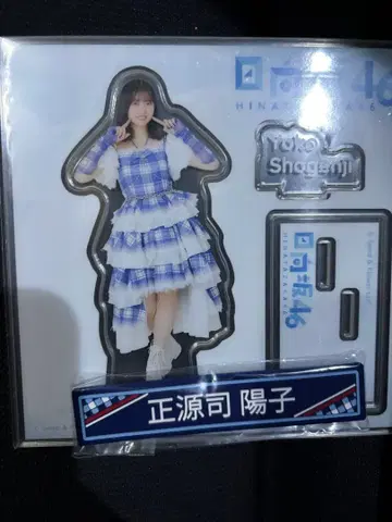 히나타자카46 복권 아크릴 스탠드 쇼겐지 요코 케이블 클립 세트