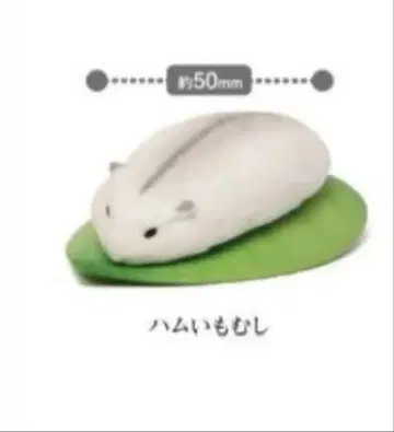 애벌레 동물 햄스터