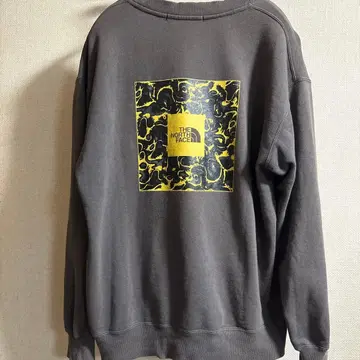 노스페이스 트레이닝복 맨투맨