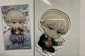 WIND BREAKER 파보테리아 카지 렌