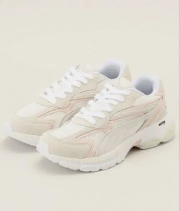 Le Talon/PUMA 통굽 스니커즈 베이지/핑크