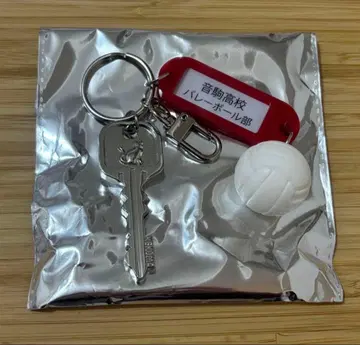 하이큐 트레이딩 고교명 부착 열쇠 참 키링 네코마 고교