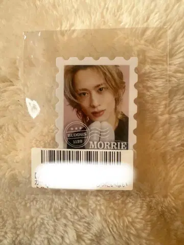 BUDDiiS [ MORRIE ] 우표풍 스티커