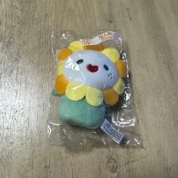 JOCHUM 제오참 Bira 손가락 인형