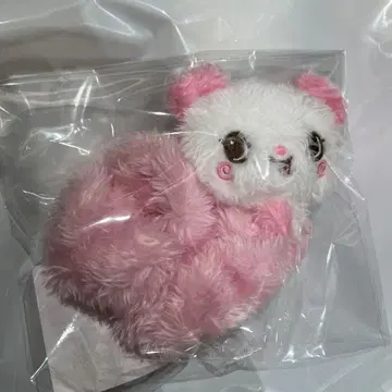 nct wish 서울콘 네이비 스크런치 사쿠야