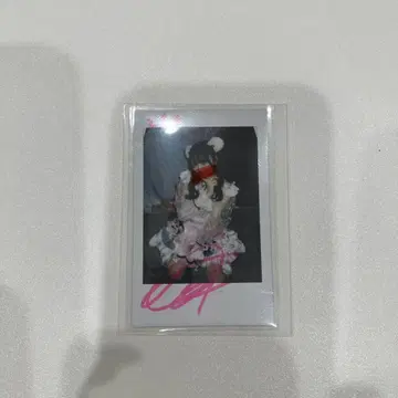 iLife 나란노도카 폴라로이드