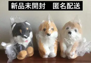 흐물흐물 시바견 아기 컴팩트 JB 3종 세트