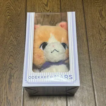 후지와라 이츠키 멘프로 ODEKAKE MARS