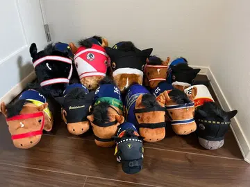 서러브레드 컬렉션 세트