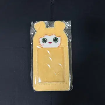 트와이스 지브리 지효 트레이딩 카드 케이스