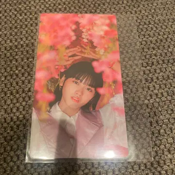 사쿠라자카46 야마자키 텐 사쿠코레카드 SpringFlower