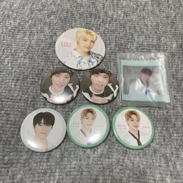SEVENTEEN 디노 캔뱃지 캔배치 캔