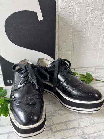 STACCATO 레이스업 24cm 윙팁 통굽 플랫폼