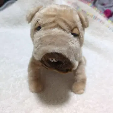 샤오페이의 봉제 인형